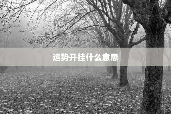 运势开挂什么意思