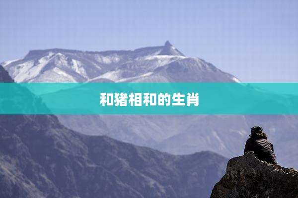 和猪相和的生肖