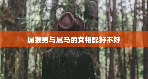 属猴男与属马的女相配好不好