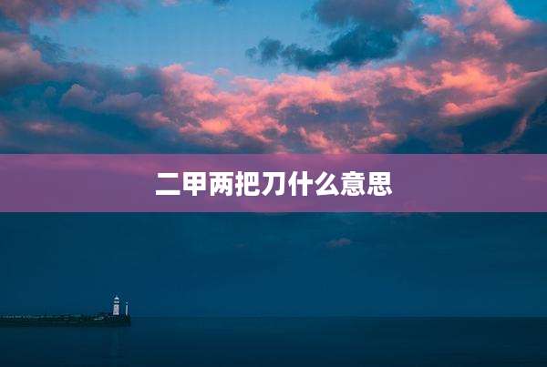 二甲两把刀什么意思