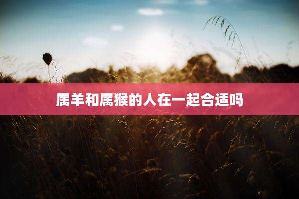 属羊和属猴的人在一起合适吗