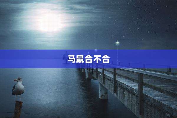 马鼠合不合