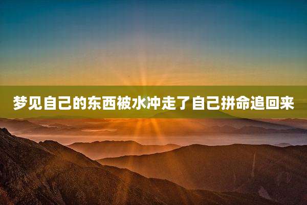 梦见自己的东西被水冲走了自己拼命追回来