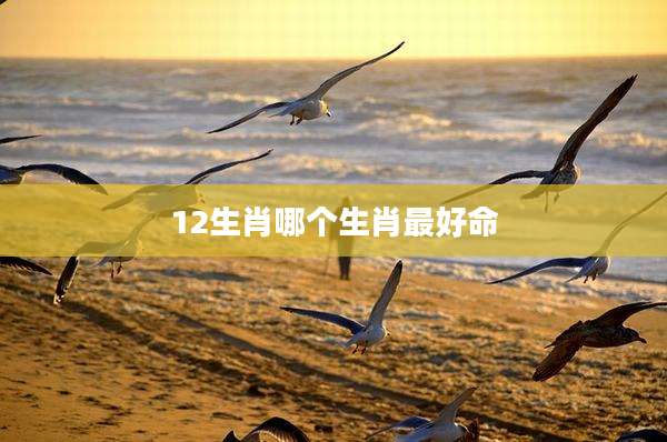 12生肖哪个生肖最好命