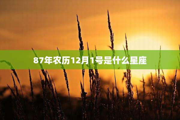87年农历12月1号是什么星座