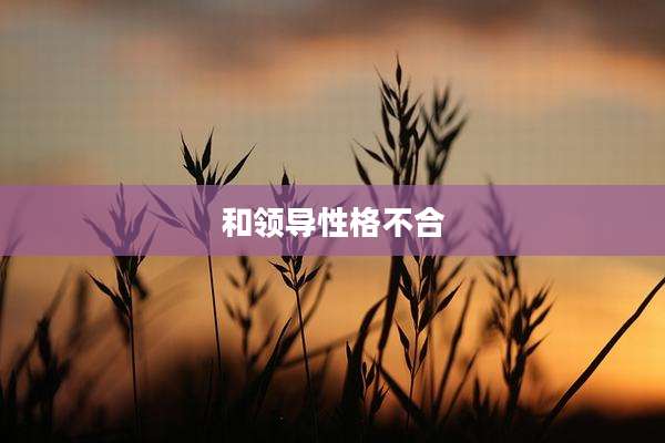 和领导性格不合