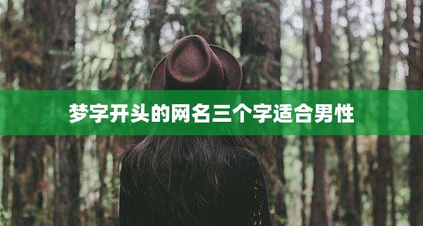 梦字开头的网名三个字适合男性