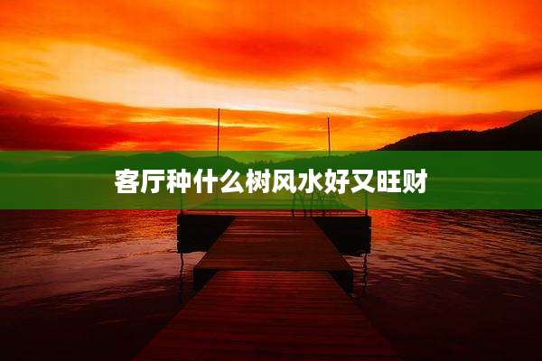 客厅种什么树风水好又旺财
