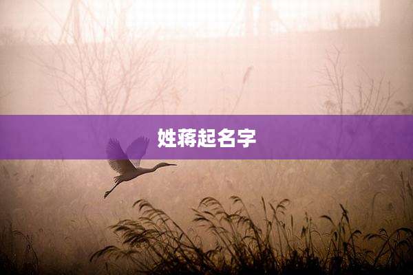 姓蒋起名字