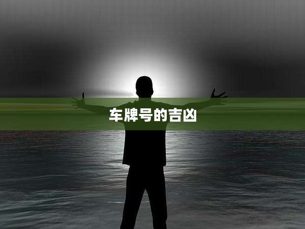 车牌号的吉凶