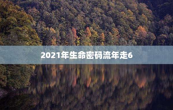 2021年生命密码流年走6