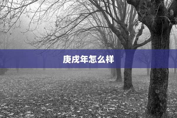 庚戌年怎么样