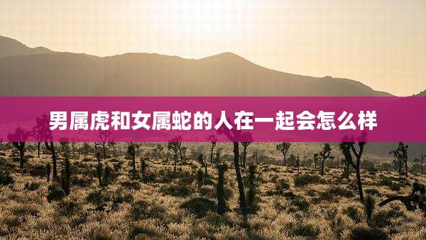男属虎和女属蛇的人在一起会怎么样