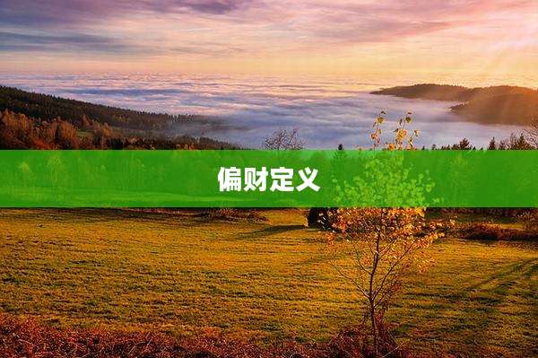 偏财定义