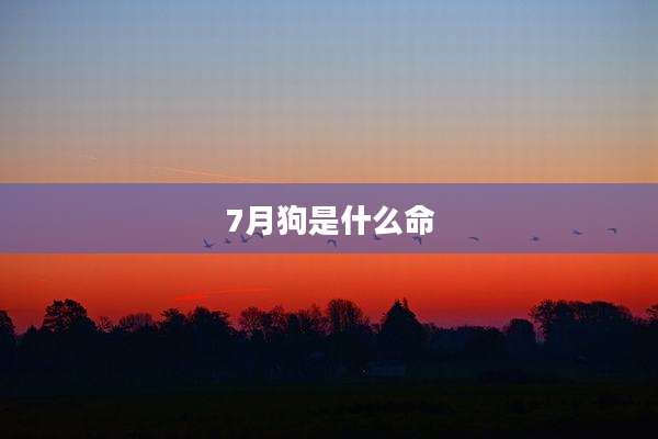 7月狗是什么命