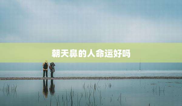 朝天鼻的人命运好吗