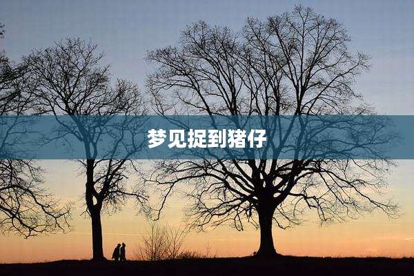 梦见捉到猪仔