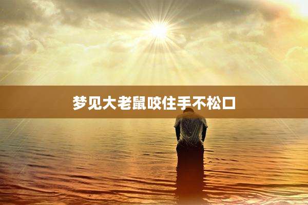 梦见大老鼠咬住手不松口
