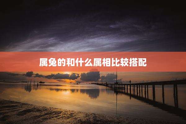属兔的和什么属相比较搭配