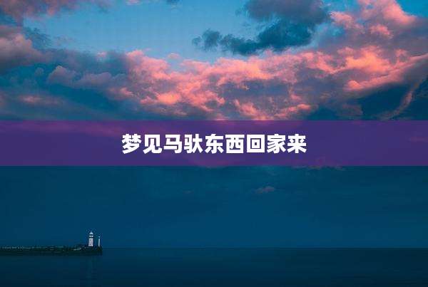 梦见马驮东西回家来