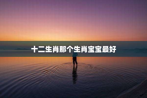 十二生肖那个生肖宝宝最好