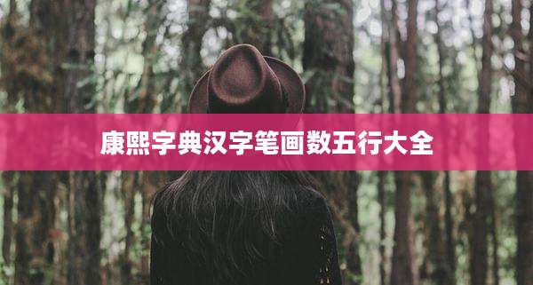 康熙字典汉字笔画数五行大全