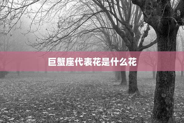 巨蟹座代表花是什么花