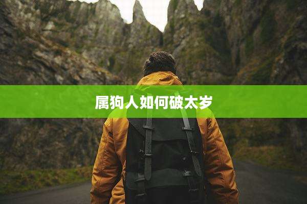 属狗人如何破太岁