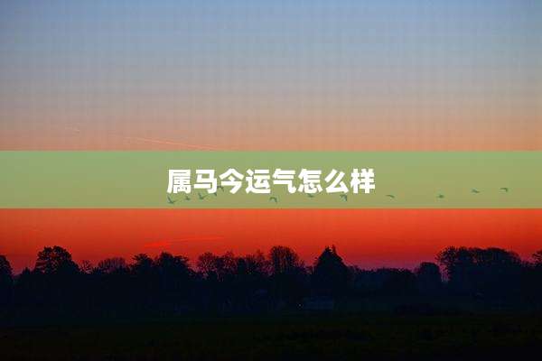 属马今运气怎么样
