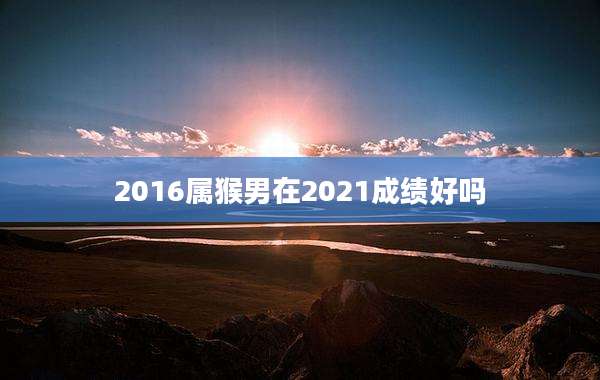 2016属猴男在2021成绩好吗