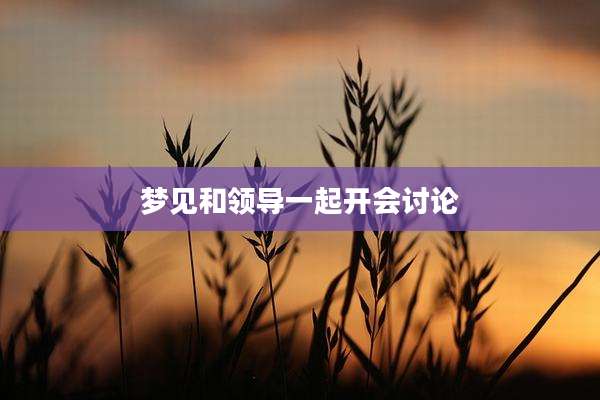 梦见和领导一起开会讨论