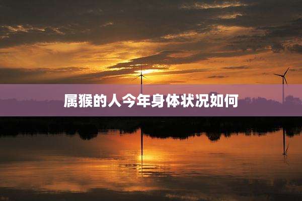 属猴的人今年身体状况如何