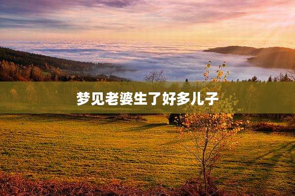 梦见老婆生了好多儿子