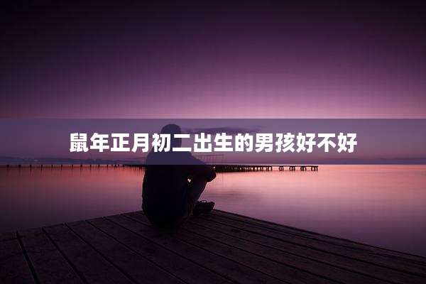 鼠年正月初二出生的男孩好不好