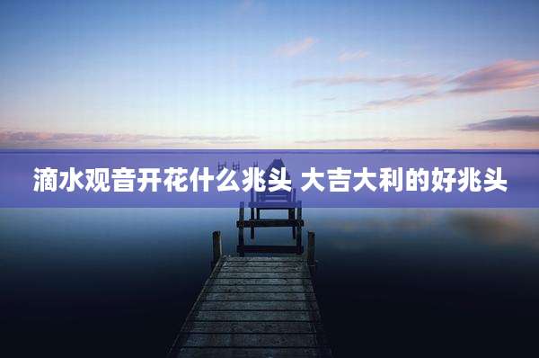滴水观音开花什么兆头 大吉大利的好兆头