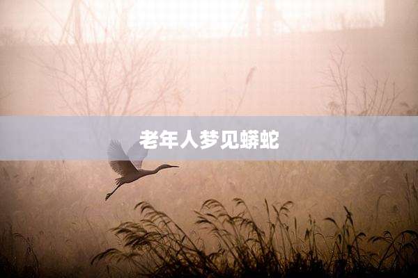 老年人梦见蟒蛇