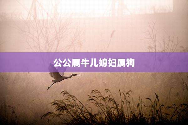 公公属牛儿媳妇属狗