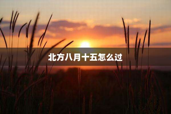 北方八月十五怎么过
