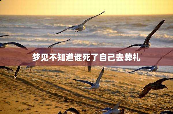 梦见不知道谁死了自己去葬礼