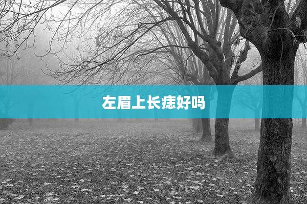 左眉上长痣好吗