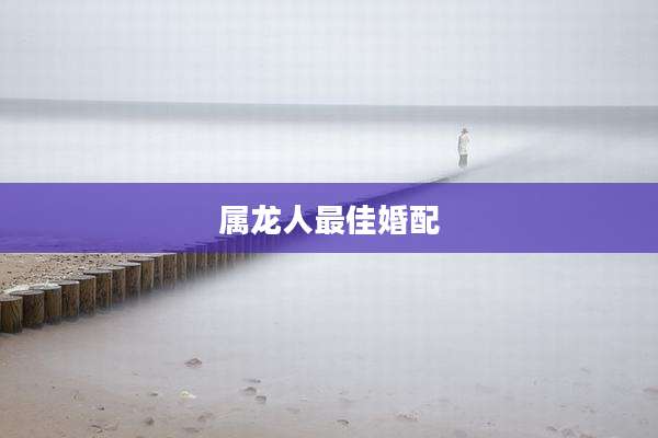 属龙人最佳婚配