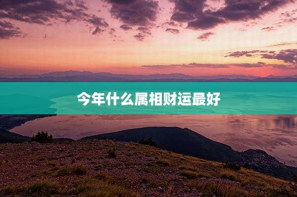 今年什么属相财运最好