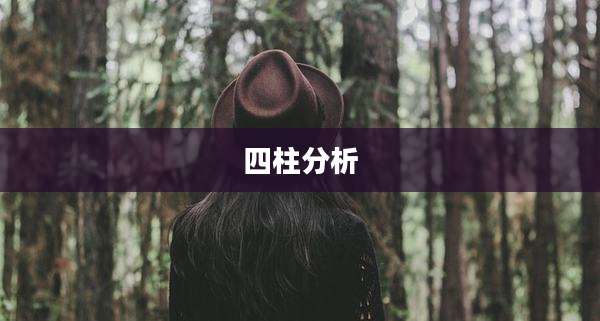 四柱分析