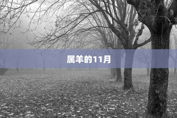 属羊的11月