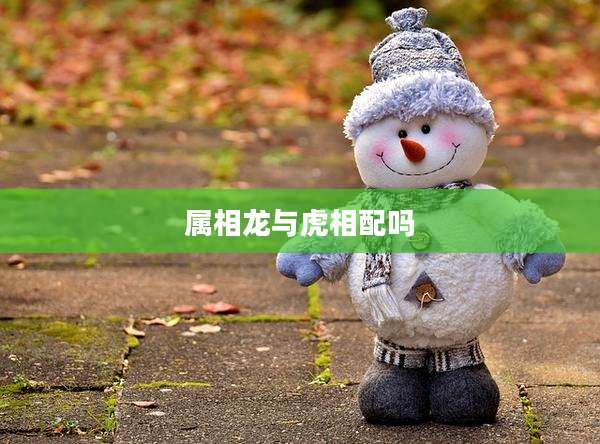 属相龙与虎相配吗