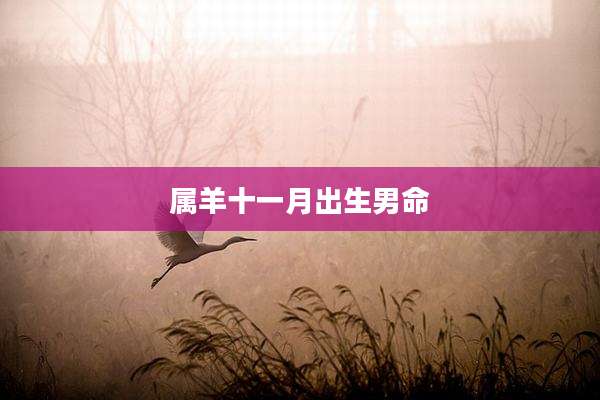 属羊十一月出生男命