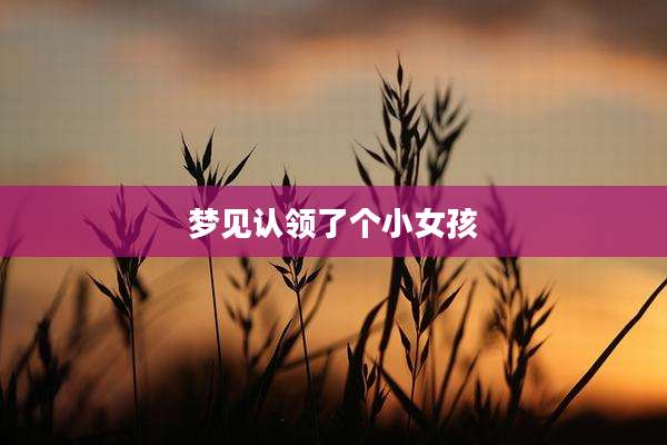 梦见认领了个小女孩
