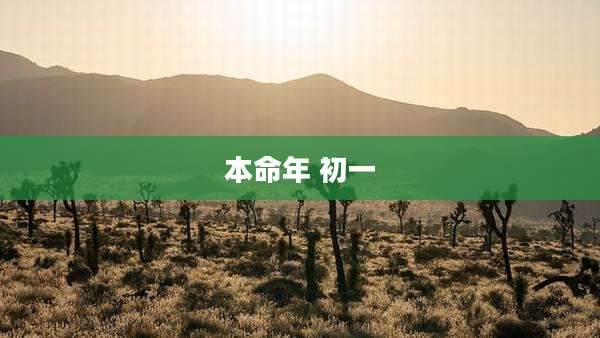 本命年 初一