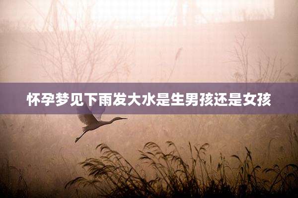 怀孕梦见下雨发大水是生男孩还是女孩