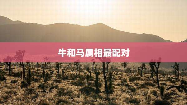 牛和马属相最配对
